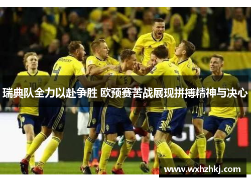 瑞典队全力以赴争胜 欧预赛苦战展现拼搏精神与决心