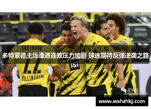 多特蒙德主场遭遇连败压力加剧 球迷期待反弹逆袭之路