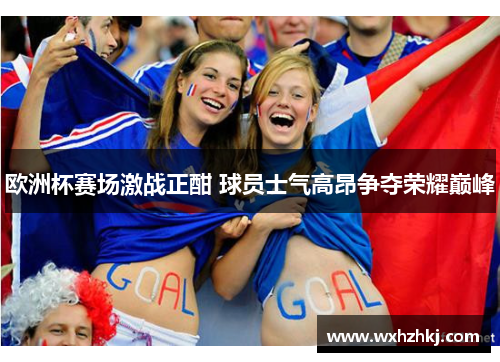 欧洲杯赛场激战正酣 球员士气高昂争夺荣耀巅峰