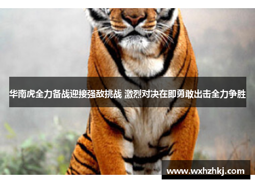 华南虎全力备战迎接强敌挑战 激烈对决在即勇敢出击全力争胜