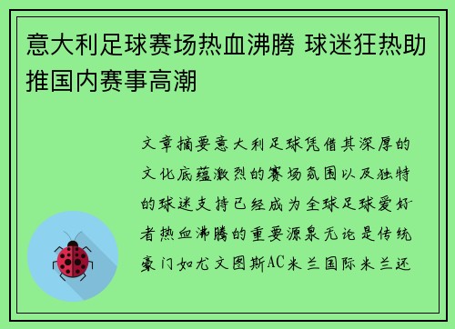 意大利足球赛场热血沸腾 球迷狂热助推国内赛事高潮