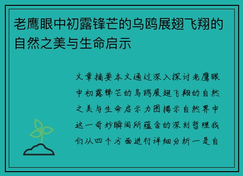 老鹰眼中初露锋芒的乌鸥展翅飞翔的自然之美与生命启示